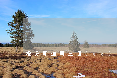 橙分期逾期三個(gè)月(橙分期逾期2天)