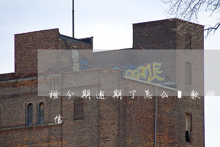 橙分期逾期了怎么還款(橙分期逾期后還清,征信)