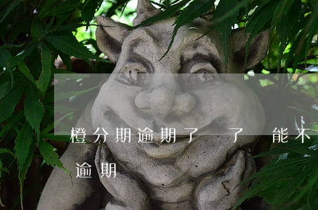 橙分期逾期了還了還能不能貸(橙分期為什么逾期)