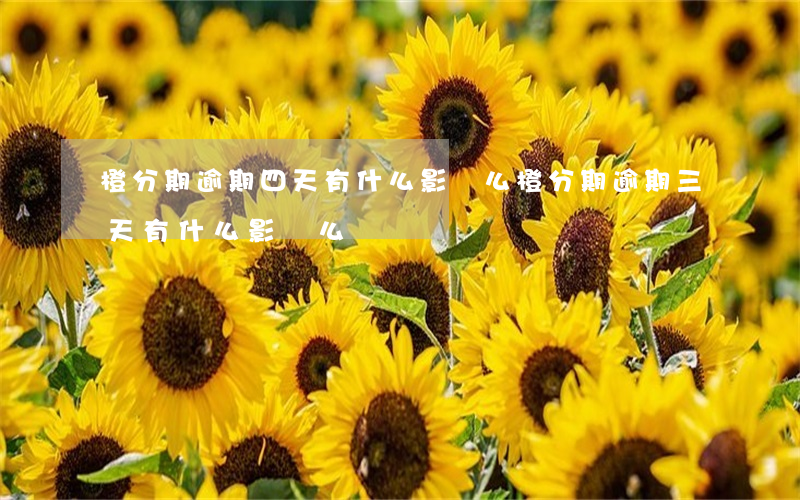 橙分期逾期四天有什么影響么 橙分期逾期三天有什么影響么