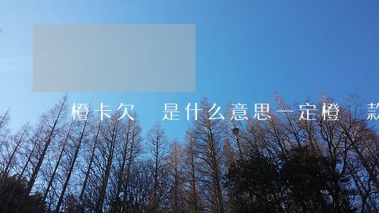 橙卡欠貸是什么意思(一定橙貸款是真是假)