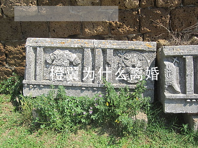 橙翼为什么离婚