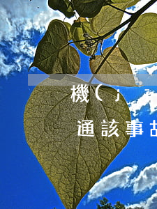 機(jī)動(dòng)車(chē)交通該事故損害賠償起訴狀(機(jī)動(dòng)車(chē)交通該事故損害賠償起訴狀)