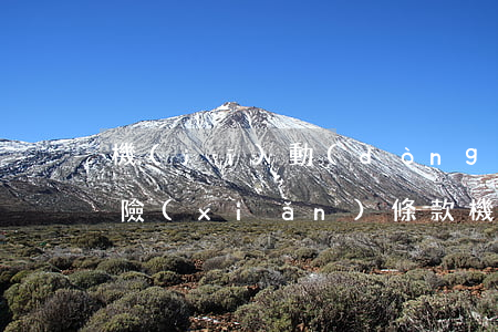 機(jī)動(dòng)車(chē)保險(xiǎn)條款(機(jī)動(dòng)車(chē)保險(xiǎn)條款2021)