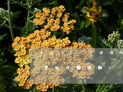 機(jī)動(dòng)車(chē)年檢怎么才算逾期-機(jī)動(dòng)車(chē)年檢逾期怎么處理