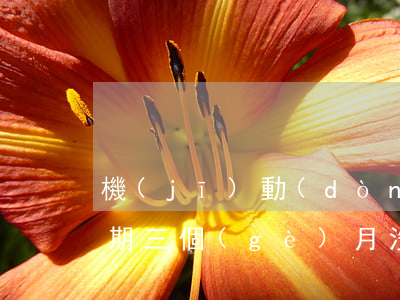 機(jī)動(dòng)車(chē)逾期三個(gè)月沒(méi)年檢(機(jī)動(dòng)車(chē)逾期三個(gè)月沒(méi)年檢會(huì)怎么樣)