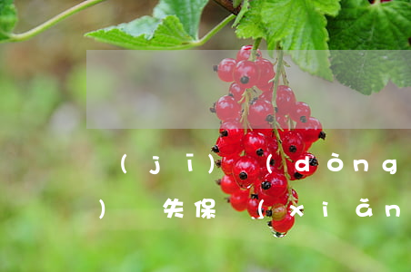 機(jī)動(dòng)車停運(yùn)損失保險(xiǎn)是否承擔(dān)責(zé)任