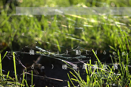機(jī)動(dòng)車右轉(zhuǎn)碰電摩事故責(zé)任如何認(rèn)定