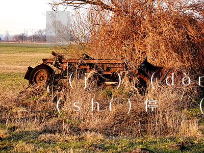 機(jī)動(dòng)車在道路上臨時(shí)停車時(shí)，應(yīng)當(dāng)遵守哪些規(guī)定
