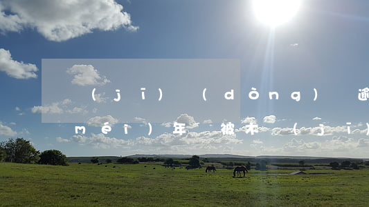 機(jī)動(dòng)車逾期半月沒(méi)年審被木(機(jī)動(dòng)車逾期半月沒(méi)年審被木車追尾)