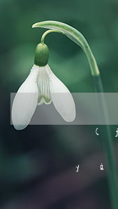 機(jī)動(dòng)車逾期未檢驗(yàn)微信(小汽車逾期未檢驗(yàn))