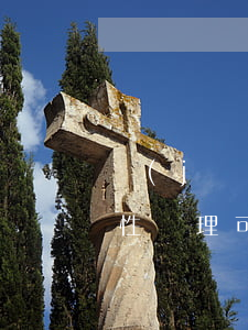 機(jī)動(dòng)車違法一年一次性處理可以嗎(機(jī)動(dòng)車一天能 幾次 處罰)