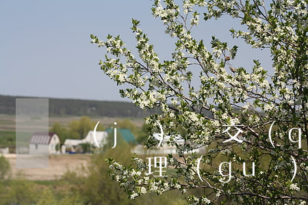 機(jī)動車交強(qiáng)險互碰賠償處理規(guī)則