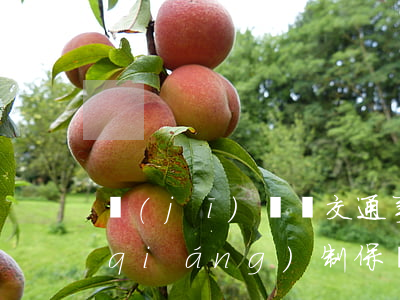 機(jī)動車交通事故責(zé)任強(qiáng)制保險條例(機(jī)動車交通事故責(zé)任強(qiáng)制保險條例第二十二條)