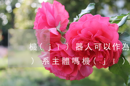 機(jī)器人可以作為法律關(guān)系主體嗎(機(jī)器人阿爾法屬于法律關(guān)系主體嗎)