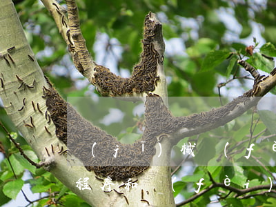 機(jī)械費(fèi)起訴欠錢不還的程序和費(fèi)用-機(jī)械費(fèi)起訴欠錢不還的程序和費(fèi)用誰承擔(dān)