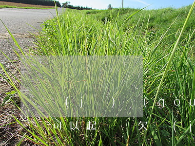 機(jī)構(gòu)欠錢(qián)可以起訴嗎(欠機(jī)構(gòu)貸款的錢(qián)還不上)