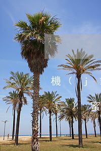機(jī)蜜租機(jī)逾期起訴(機(jī)蜜租機(jī)會起訴嗎)