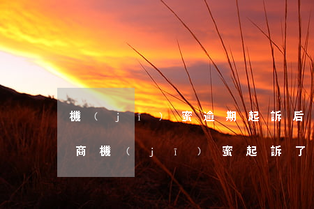 機(jī)蜜逾期起訴后怎么協(xié)商(機(jī)蜜起訴了會(huì)怎么樣)