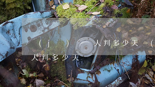 機(jī)車載人判多少天?(機(jī)車載人判多少天?)