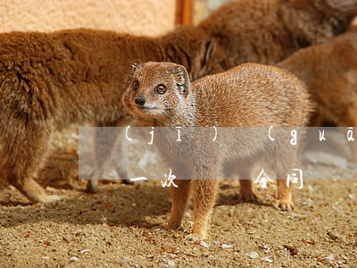 機(jī)關(guān)幾年續(xù)簽一次勞動合同