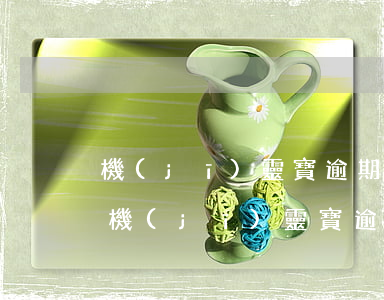 機(jī)靈寶逾期會(huì)被起訴嗎（機(jī)靈寶逾期會(huì)被起訴嗎）