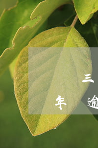 機動三輪年檢逾期時間多長時間-機動三輪年檢逾期時間多長時間可以審車