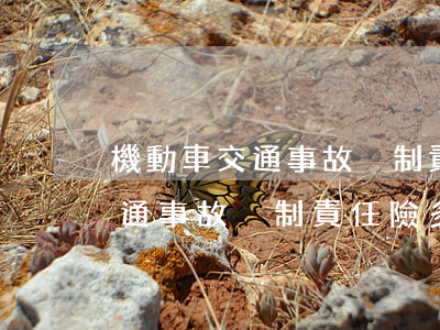 機動車交通事故強制責任險多少錢(機動車交通事故強制責任險多少錢)