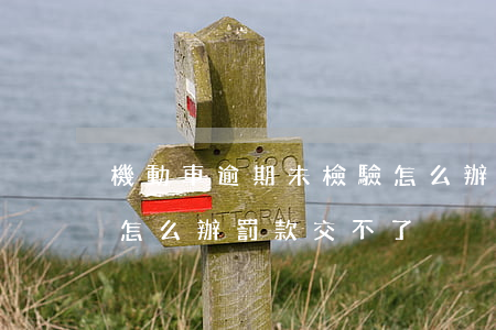 機動車逾期未檢驗怎么辦(機動車逾期未檢驗怎么辦罰款交不了)