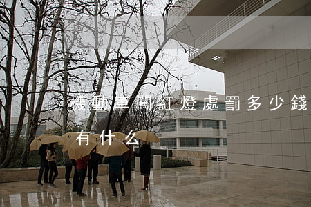 機動車闖紅燈處罰多少錢（機動車逆行的情況有什么）