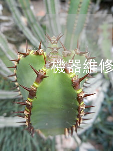 機器維修合同