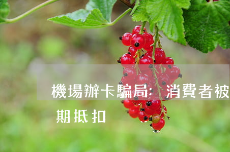 機場辦卡“騙局”:消費者被“忽悠” 買票卻只能分期抵扣
