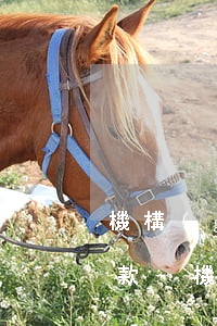 機構(gòu)如何幫助逾期客戶做延期還款-機構(gòu)如何幫助逾期客戶做延期還款業(yè)務(wù)