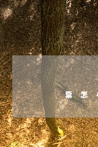 機票怎么退全款