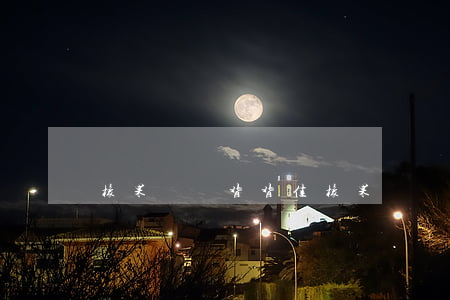 橡果國際背背佳(橡果國際背背佳怎么穿視頻)