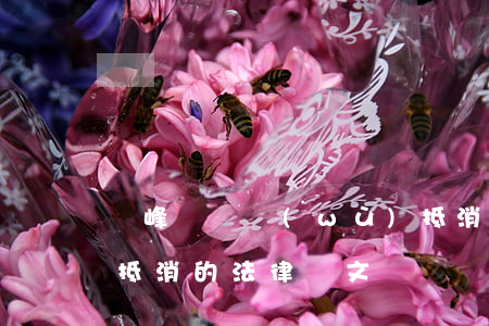 橫峰縣債務(wù)抵消律師(債務(wù)抵消的法律條文)