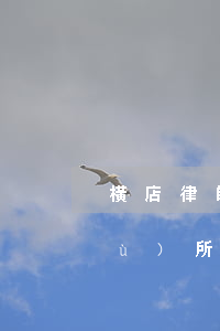 橫店律師事務(wù)所(橫店律師事務(wù)所號碼)