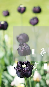 檔案館有協(xié)議離婚檔案嗎(檔案館有協(xié)議離婚檔案嗎)