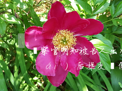 檢察官明知被告人出生年月收受家屬錢財(cái)后提交虛假材料獲刑六個(gè)月