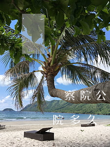檢察院公訴到法院多久開庭(檢察院公訴到法院多久開庭)