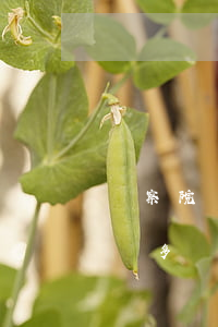 檢察院協(xié)助調(diào)查最長多長時間