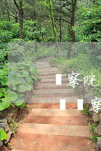檢察院可以提起行政公益訴訟嗎(行政公益訴訟檢察建議)