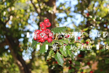 檢察院司法助理可以任副部長(zhǎng)嗎(檢察官助理由誰任命)