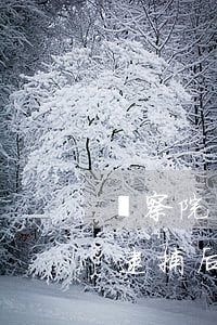 檢察院已經批捕還能取保么(檢察院已經批準逮捕后還可以取保候審嗎)