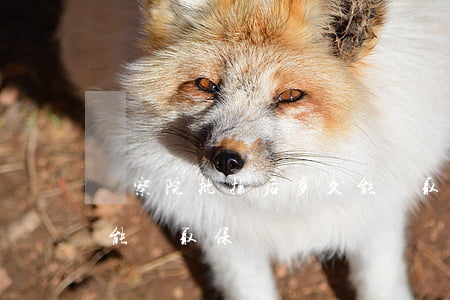 檢察院批捕后多久能辦取保(逮捕之后檢察院能辦取保)