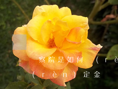 檢察院是如何認(rèn)定金額(檢察院認(rèn)定金額會(huì)改嗎)