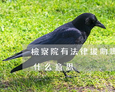 檢察院有法律援助嗎(檢察院給請法律援助是什么意思)