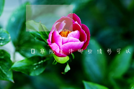 檢察院案件哪些情形可以請檢察長撤銷案件?