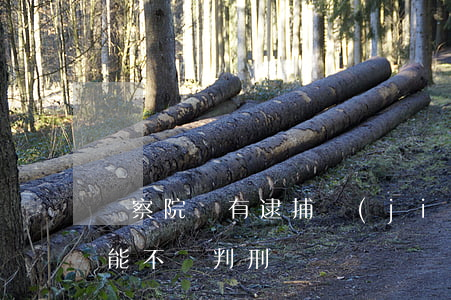 檢察院沒有逮捕監(jiān)視居住有可能不會判刑嗎