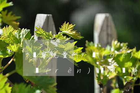 檢察院量刑9個(gè)月認(rèn)罪認(rèn)罰有諒解實(shí)至判多少(檢察院簽了認(rèn)罪認(rèn)罰后多久起訴)